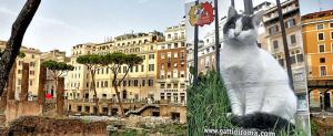 Dos ciudades en Europa con colonias felinas